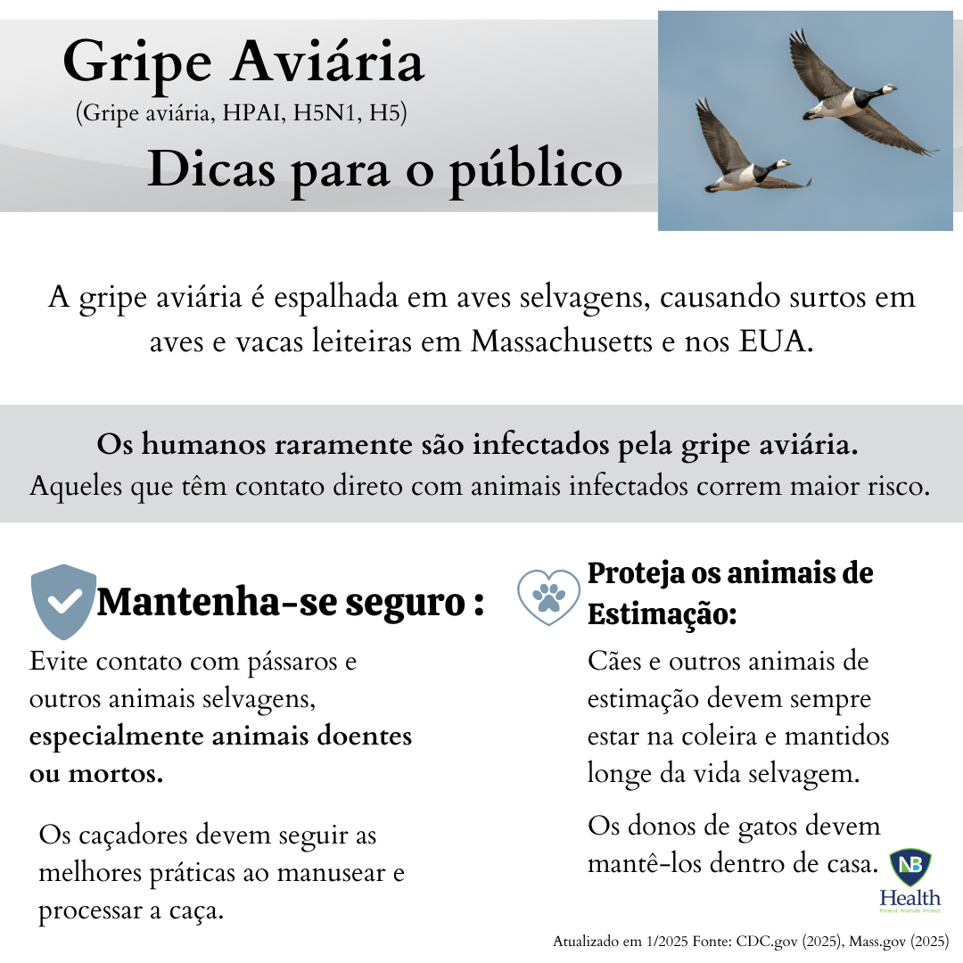 Bird Flu Advisory - Portuguese