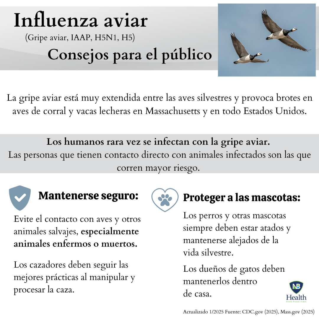 Bird Flu Advisory - Spanish